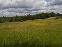 F. Indre, La Brenne 1, Saxifraga-Jan Nijendijk