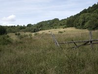 D, Rheinland-Pfalz, Birresborn 4, Saxifraga-Willem van Kruijsbergen