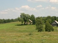 LV, Alytus, Alytus 2, Saxifraga-Hans Boll