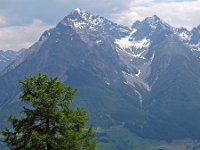 CH, Graubuenden, Scuol, Motta Naluns 2, Saxifraga-Hans Dekker