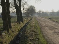 B, Antwerpen, Merksplas, Koekhoven, Zandvenheide 5 Saxifraga-Willem van Kruijsbergen