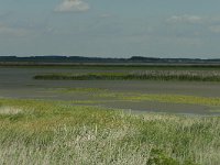 H, Hadju-Bihar, Hortobagy 10, Saxifraga-Dirk Hilbers