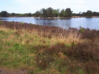 NL, Noord-Brabant, Heeze-Leende, Spinsterberg 4, Saxifraga-Tom Heijnen
