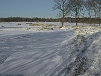 NL, Noord-Brabant, Oirschot, Winkelsven 15, Saxifraga-Jan van der Straaten