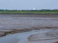 NL, Friesland, Schiermonnikoog, Veerdam 3, Saxifraga-Foto Fitis-Sytske Dijksen