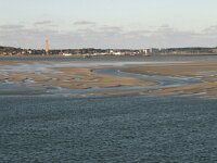 NL, Friesland, Terschelling, Terschellinger wad 9, Saxifraga-Hans Boll