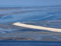 NL, Noord-Holland, Texel, Steenplaat 3, Saxifraga-Foto Fitis-Sytske Dijksen