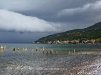 NMK, Ohrid, Pestani 4, Saxifraga-Foto Fitis-Sytske Dijksen