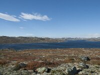 N, Buskerud, Hol, Orteren 22, Saxifraga-Annemiek Bouwman