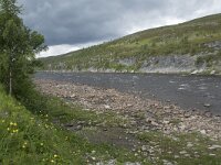 N, Finnmark, Hammerfest, Kvalsund 6, Saxifraga-Willem van Kruijsbergen
