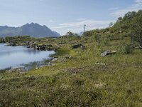 N, Nordland, Vagan, Hellhaugen 10, Saxifraga-Willem van Kruijsbergen