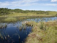 N, Nordland, Vagan, Hellhaugen 12, Saxifraga-Willem van Kruijsbergen