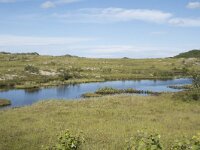 N, Nordland, Vagan, Hellhaugen 2, Saxifraga-Willem van Kruijsbergen