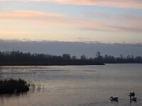 Natuurontwikkeling Biesbosch Jantjesplaat