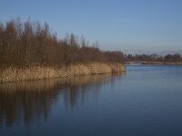 Natuurontwikkeling Biesbosch Jantjesplaat