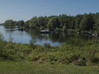 NL, Noord-Brabant, Altena, Jappegat 3, Saxifraga-Jan van der Straaten