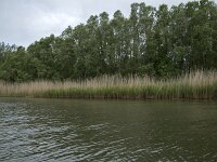 NL, Noord-Brabant, Altena, Ruigt 2, Saxifraga-Willem van Kruijsbergen