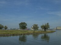 NL, Noord-Brabant, Altena, Sleeuwijk 1, Saxifraga-Marijke Verhagen
