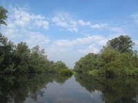 NL, Noord-Brabant, Drimmelen, Buiten Kooigat 15, Saxifraga-Bart Vastenhouw