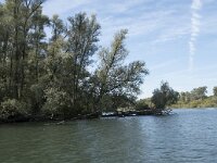 NL, Noord-Brabant, Drimmelen, Gat van Van Kampen 29, Saxifraga-Willem van Kruijsbergen