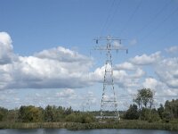 NL, Noord-Brabant, Drimmelen, Gat van de Noorderklip 15, Saxifraga-Willem van Kruijsbergen