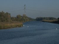NL, Noord-Brabant, Drimmelen, Gat van de Noorderklip 16, Saxifraga-Jan van der Straaten