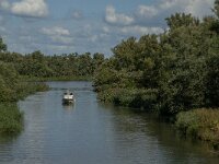 NL, Noord-Brabant, Drimmelen, Gat van de Slek 10, Saxifraga-Jan van der Straaten