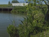 NL, Noord-Brabant, Drimmelen, Gat van den Ham 4, Saxifraga-Jan van der Straaten