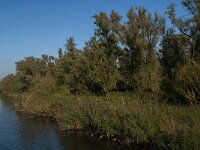 NL, Noord-Brabant, Drimmelen, Rupsenhoek 9, Saxifraga-Jan van der Straaten