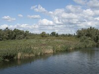 NL, Noord-Brabant, Drimmelen, Steurgat 21, Saxifraga-Willem van Kruijsbergen