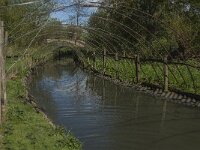NL, Noord-Brabant, Lith, Lithse eendenkooi 10, Saxifraga-Jan van der Straaten