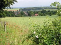 F, Haute-Saone, Gezier-et-Fontenelay 1, Saxifraga-Hans Dekker