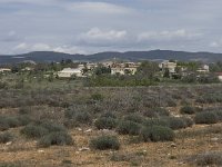 F, Vaucluse, Saint-Trinit 1, Saxifraga-Willem van Kruijsbergen Saxifraga-Hans Dekker