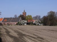 NL, Zeeland, Borsele, 's Heer Abtskerke 1, Saxifraga-Peter Meininger