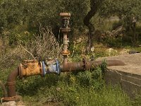 GR, Crete, Lasithi, Neapoli 2, Saxifraga-Willem van Kruijsbergen