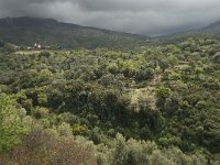 GR, Crete, Rethimnon, Voleones 1, Saxifraga-Willem van Kruijsbergen