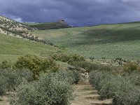 E, Granada, Chimineas, dehesas de Chimineas 1, Saxifraga-Theo Verstrael