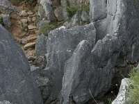 B, Namur, Viroinval, Fondry des Chiens 10, Saxifraga-Willem van Kruijsbergen