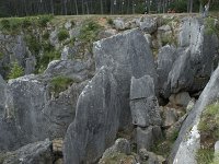 B, Namur, Viroinval, Fondry des Chiens 11, Saxifraga-Willem van Kruijsbergen