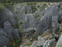 B, Namur, Viroinval, Fondry des Chiens 12, Saxifraga-Willem van Kruijsbergen