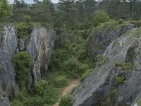 B, Namur, Viroinval, Fondry des Chiens 15, Saxifraga-Willem van Kruijsbergen