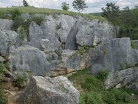 B, Namur, Viroinval, Fondry des Chiens 17, Saxifraga-Willem van Kruijsbergen