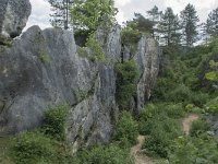 B, Namur, Viroinval, Fondry des Chiens 18, Saxifraga-Willem van Kruijsbergen