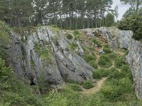 B, Namur, Viroinval, Fondry des Chiens 24, Saxifraga-Willem van Kruijsbergen