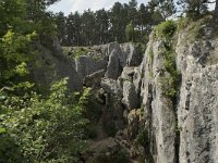 B, Namur, Viroinval, Fondry des Chiens 26, Saxifraga-Willem van Kruijsbergen