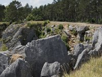 B, Namur, Viroinval, Fondry des Chiens 28, Saxifraga-Willem van Kruijsbergen