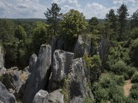 B, Namur, Viroinval, Fondry des Chiens 29, Saxifraga-Willem van Kruijsbergen