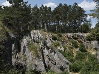 B, Namur, Viroinval, Fondry des Chiens 30, Saxifraga-Willem van Kruijsbergen