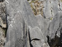 B, Namur, Viroinval, Fondry des Chiens 35, Saxifraga-Willem van Kruijsbergen