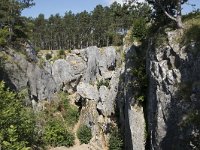 B, Namur, Viroinval, Fondry des Chiens 37, Saxifraga-Willem van Kruijsbergen